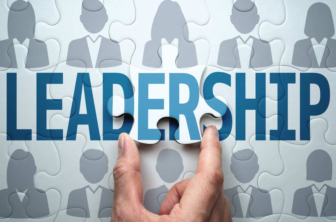 65cfb1b03db952abc466bcc0 quels sont les différents types de leadership visconti partners